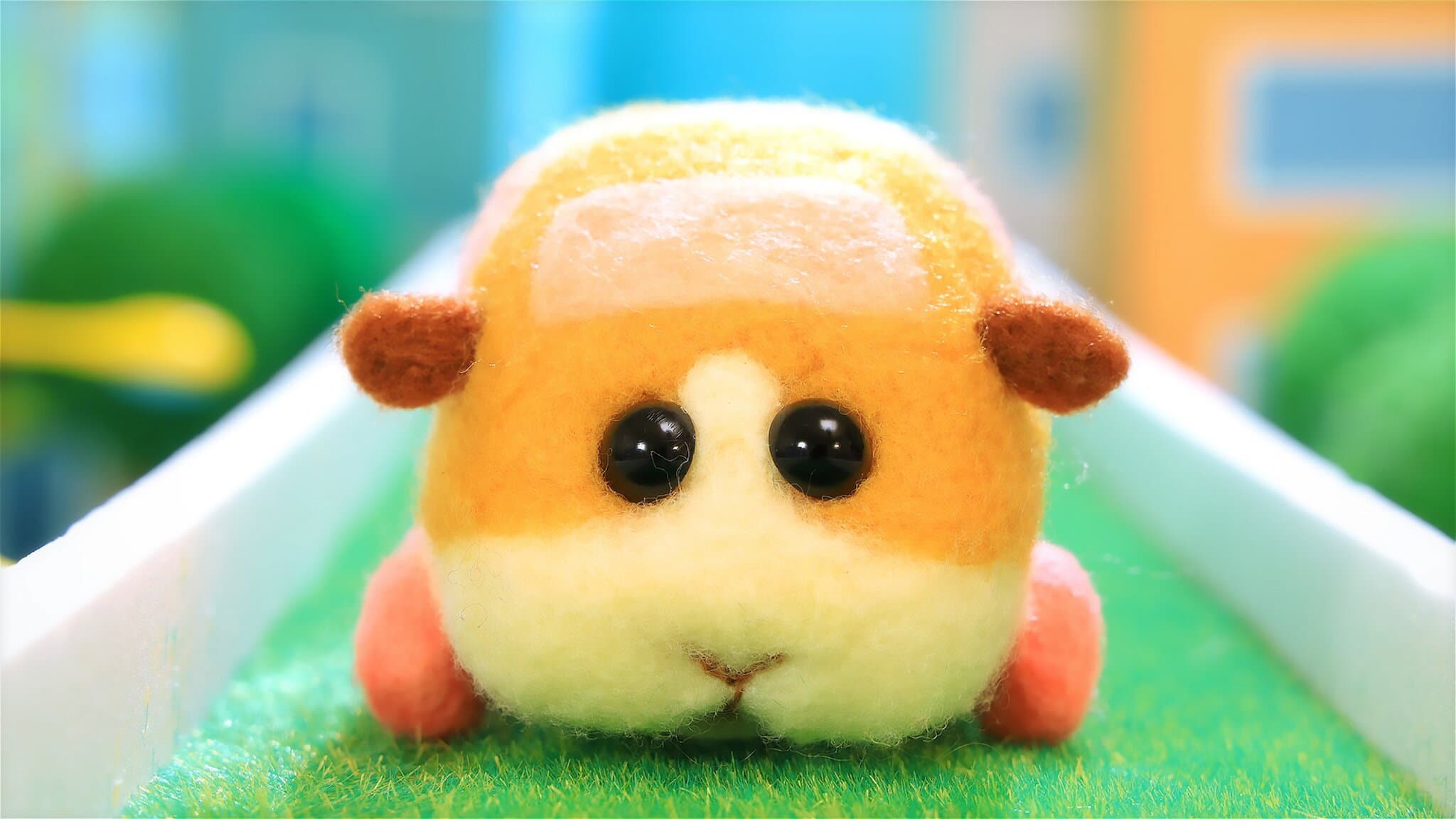 Yuta Toshima