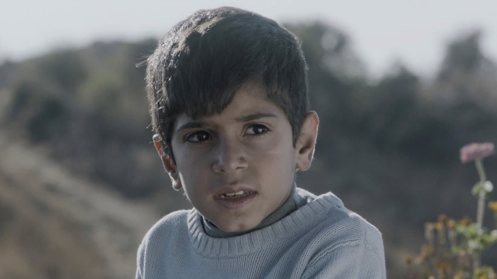 Mohammad Assaf