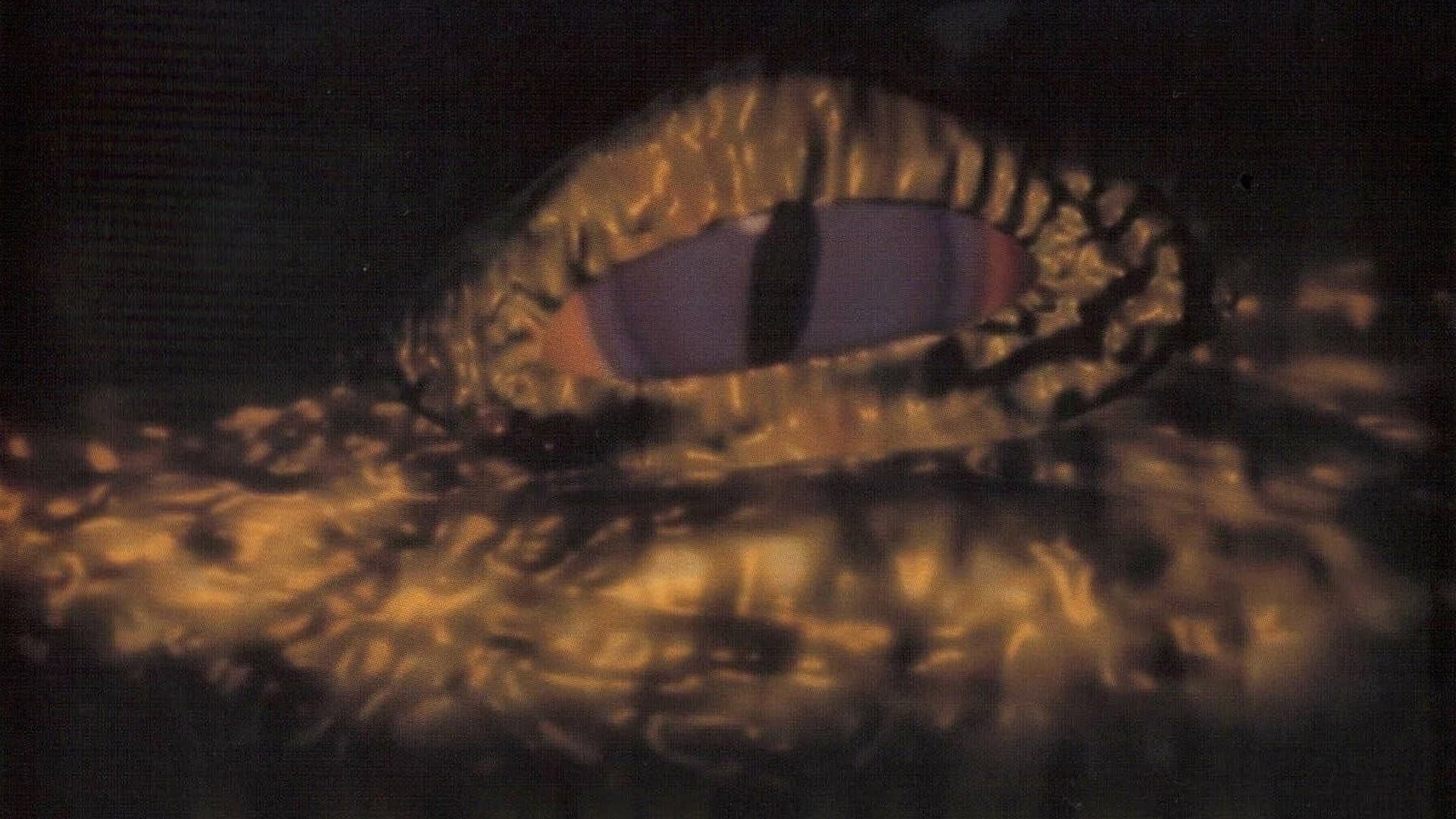Chris Taaffe