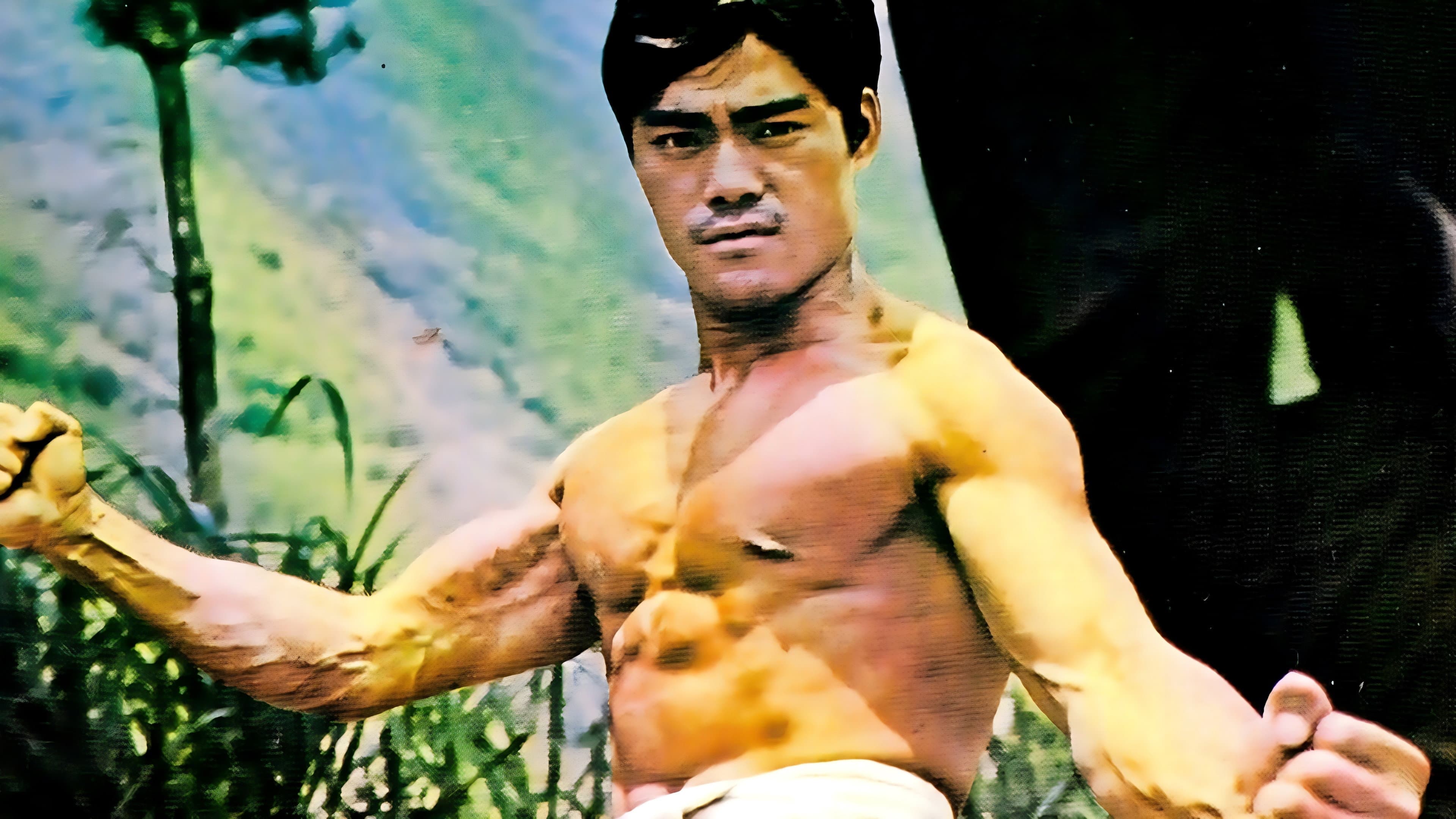 Chang Fang-Hsia