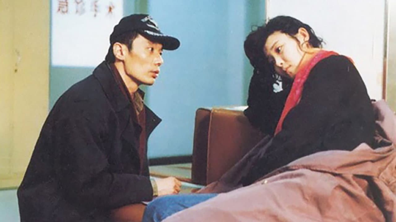 盖丽丽