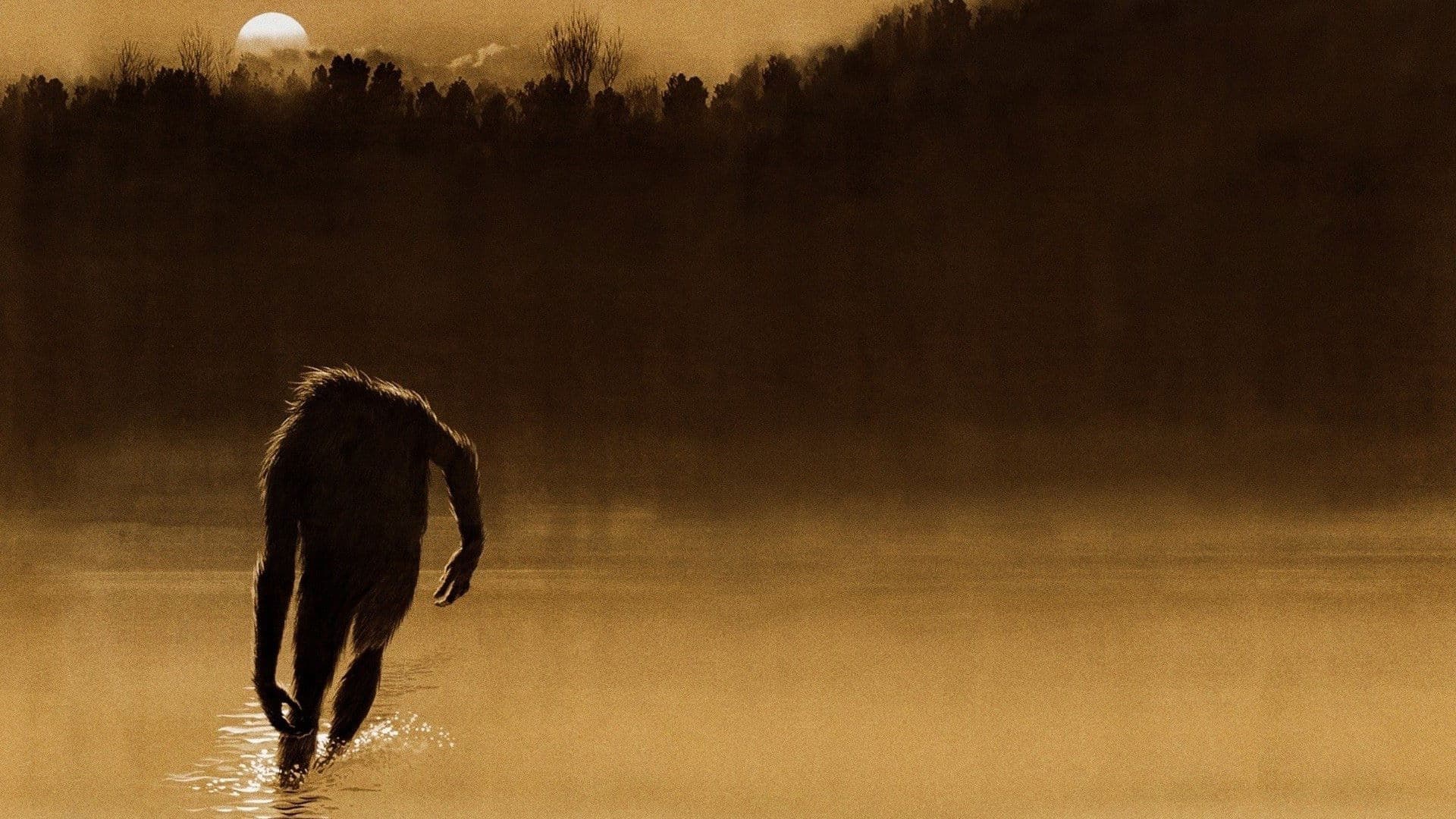 Jeff Crabtree