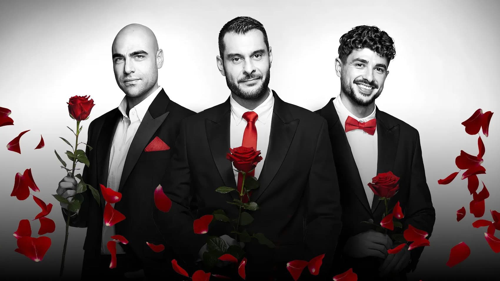 The Bachelor (BG)