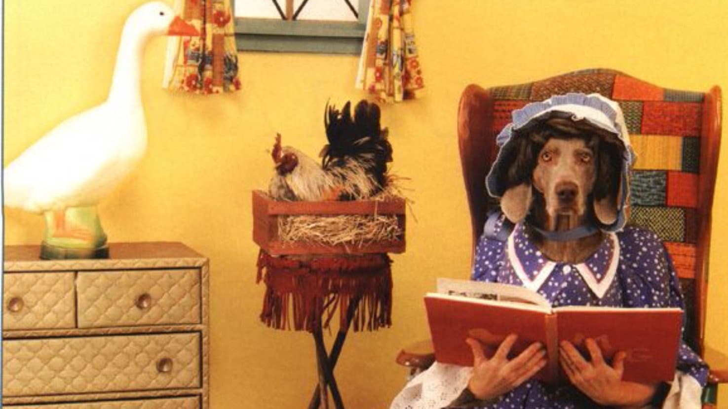 William Wegman