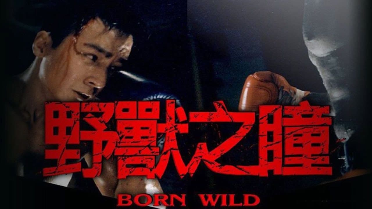 Man Yeung Ching-Wah