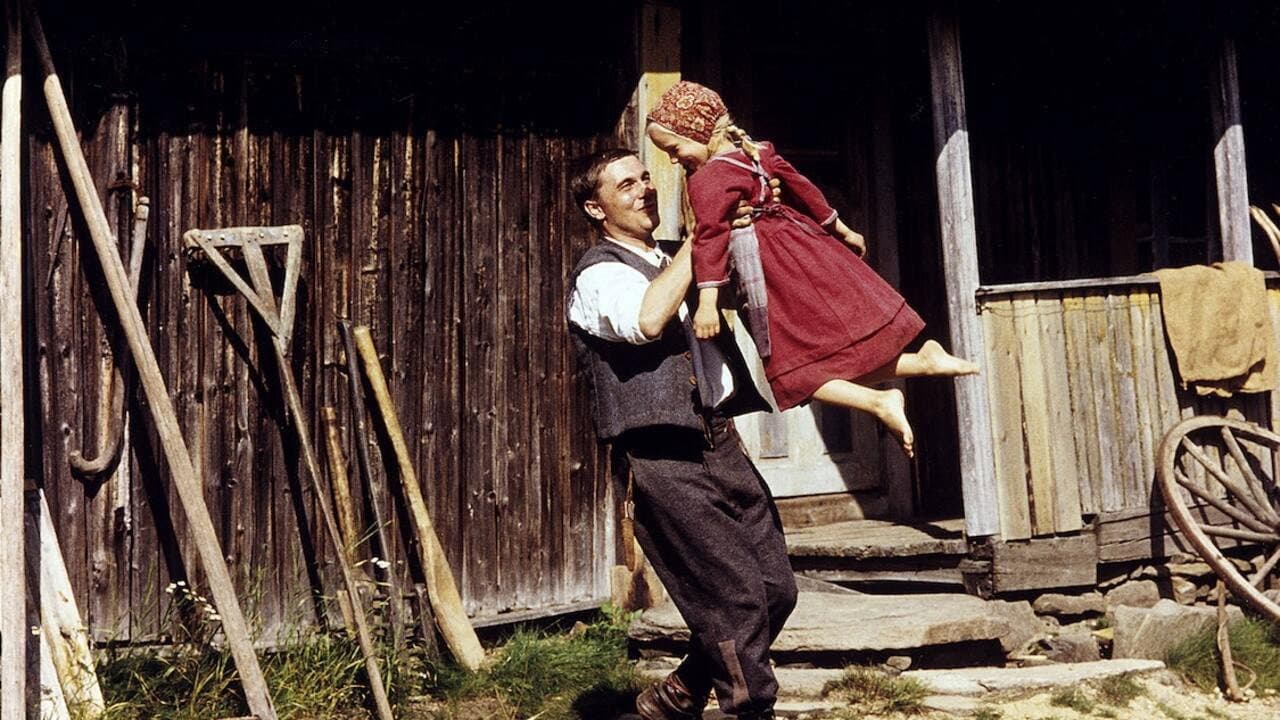 Stein Bjørn