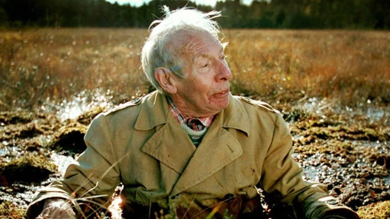 Gjertrud Jynge