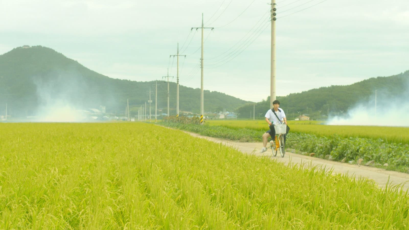 Jo Ha-seong