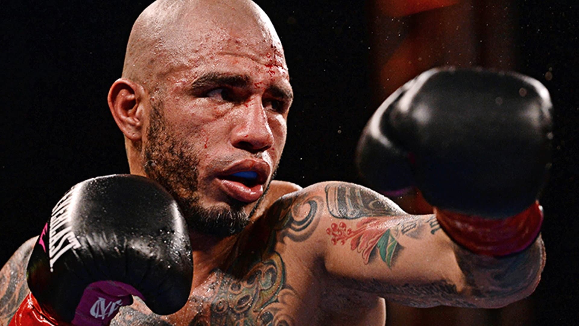 Miguel Cotto