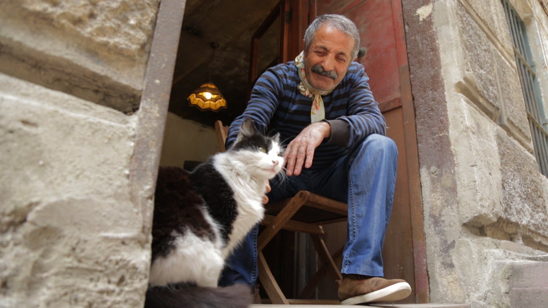 Bülent Üstün