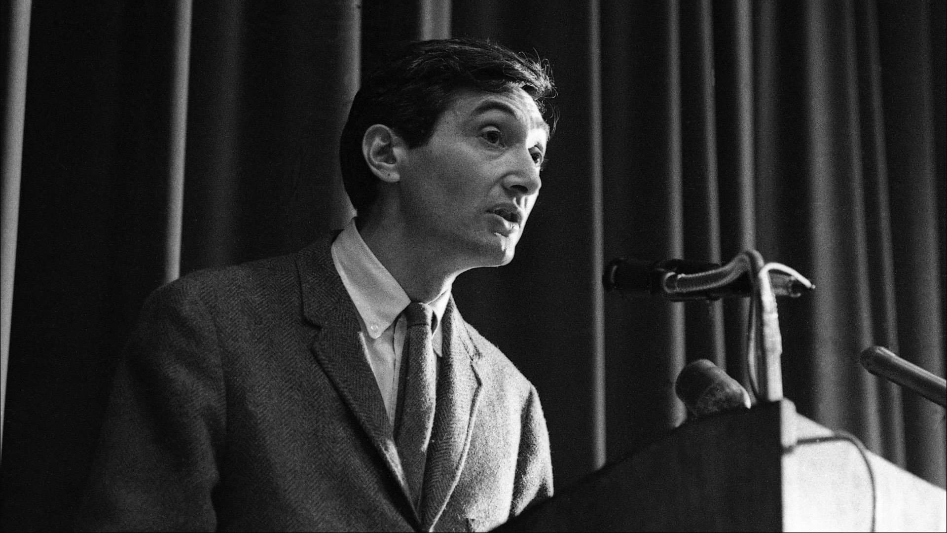 Tom Hayden