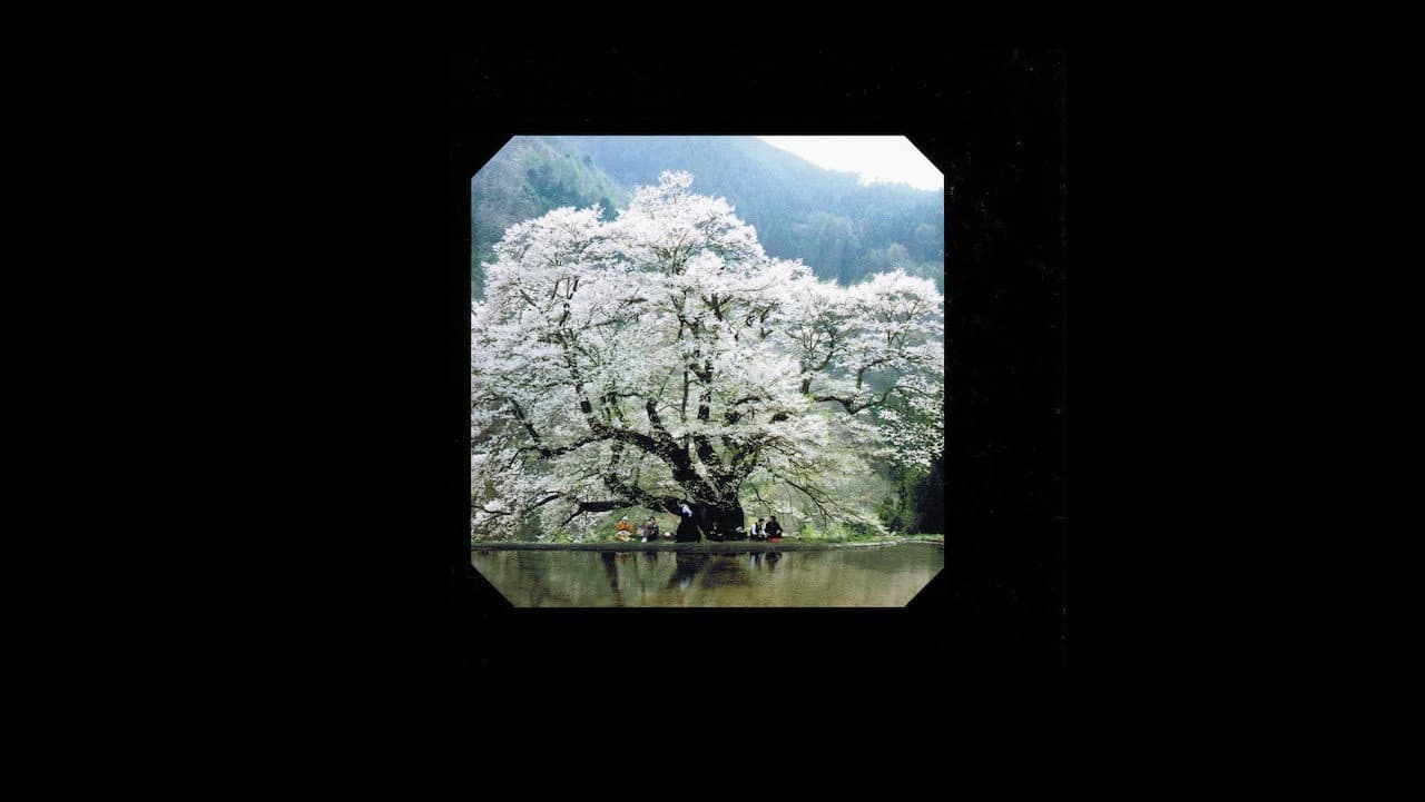 Shojiro Kataoka