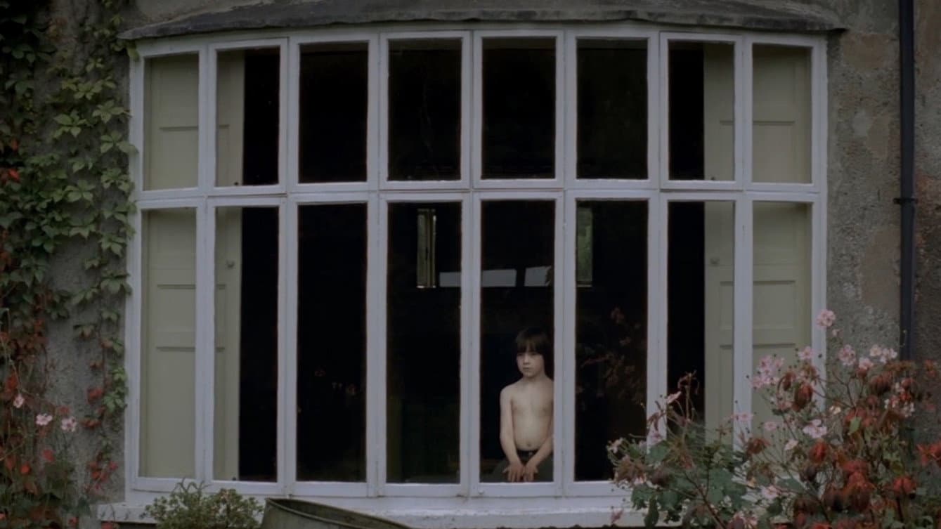 Maureen Wild