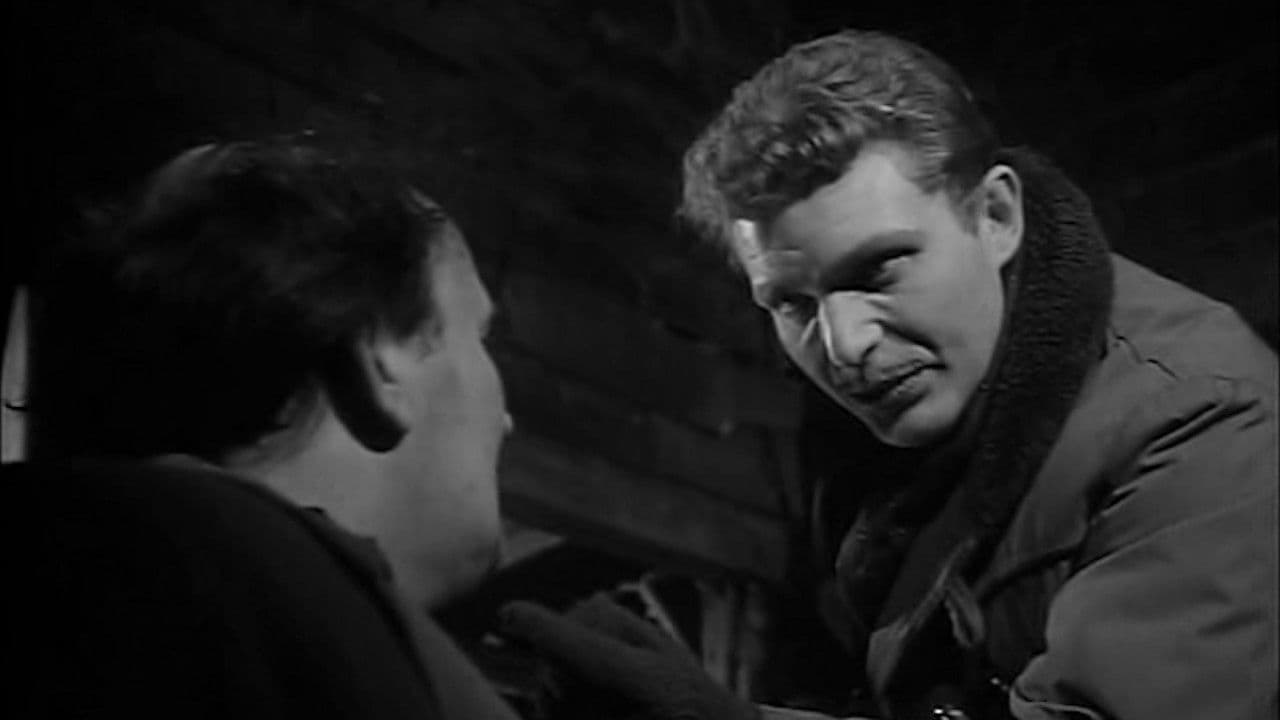 Harry Landis