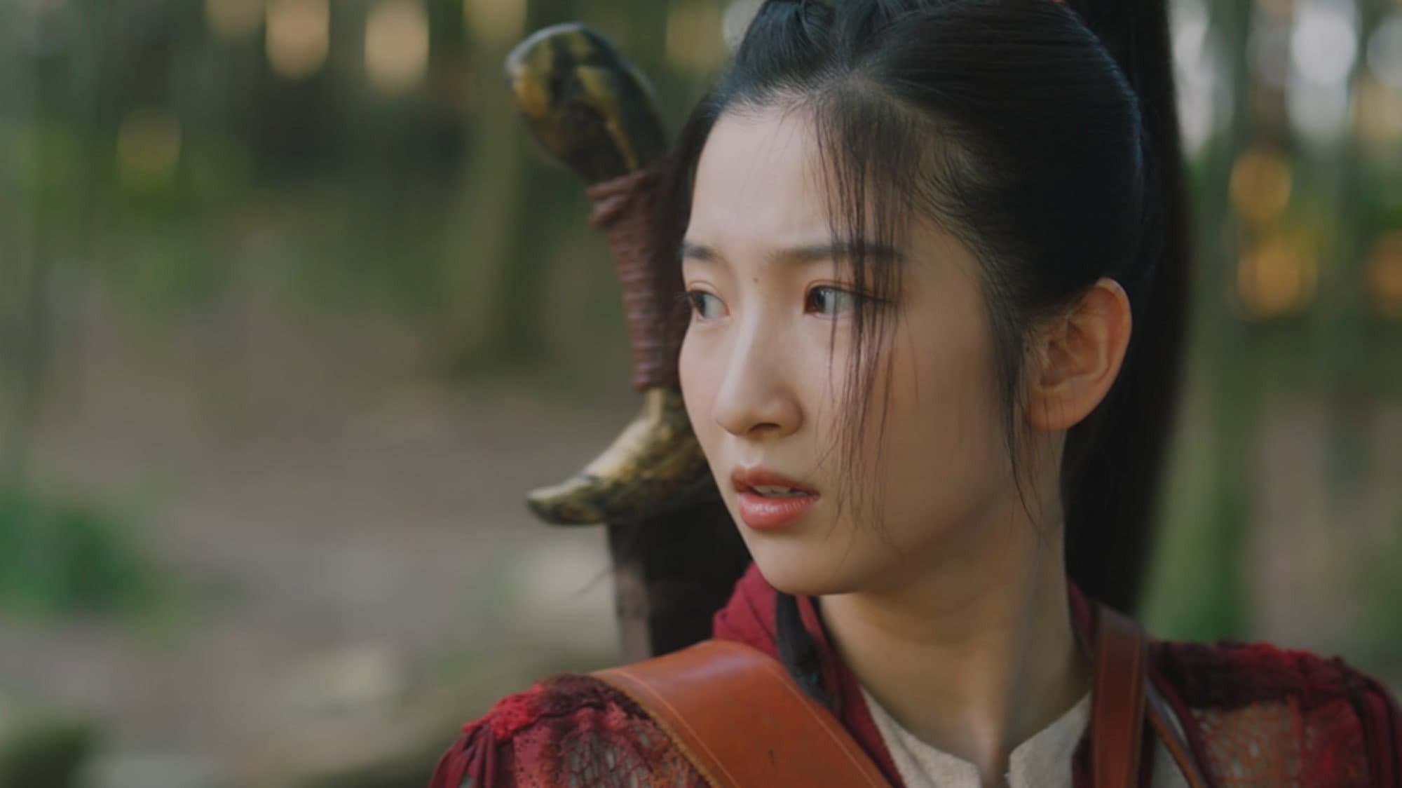 Fu Yushu