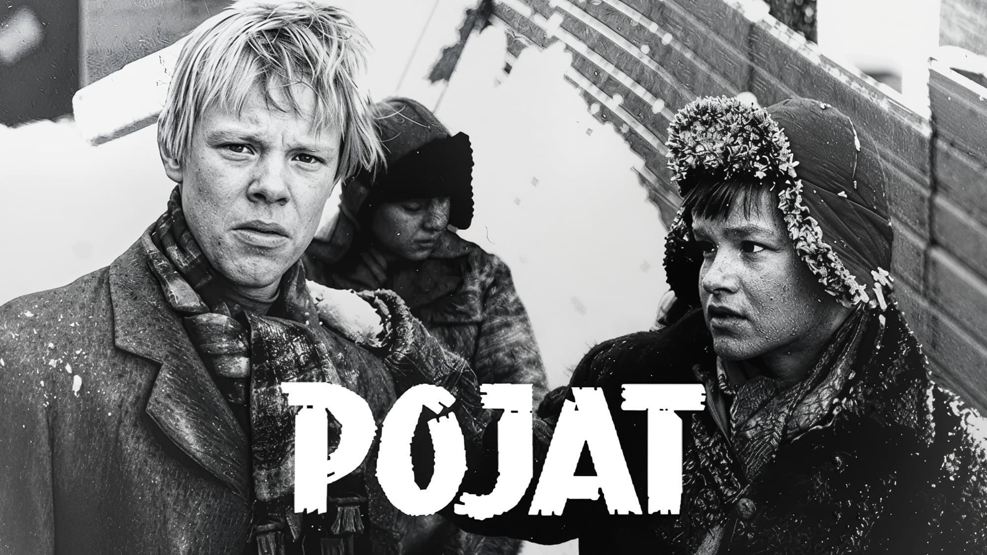 Helinä Viitanen