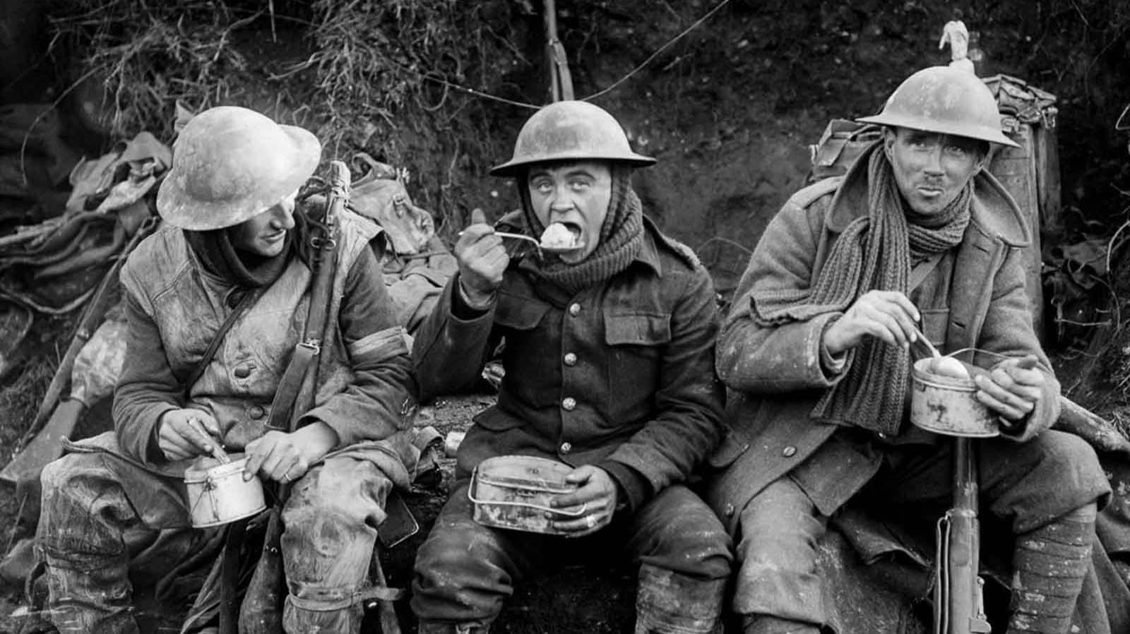 The Official Story of the British Army