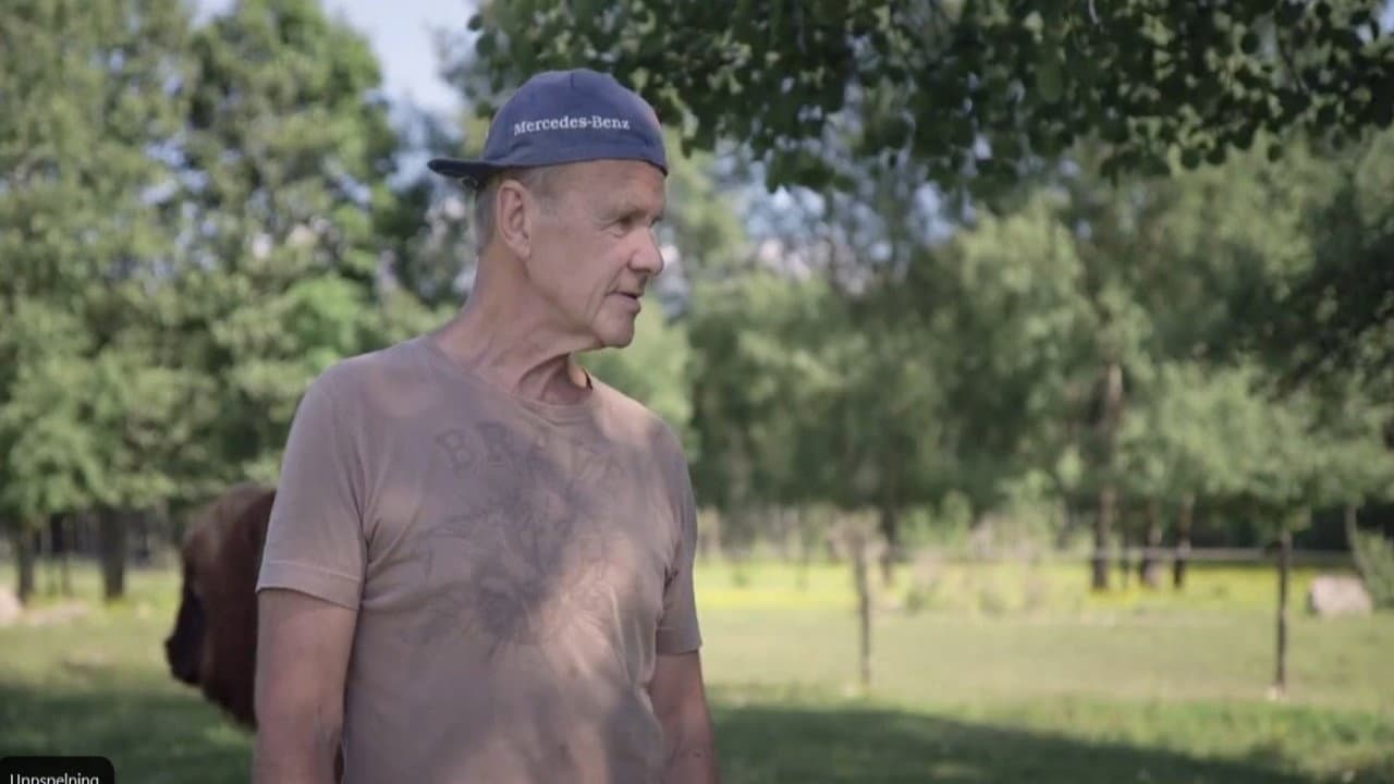 Magnus Eriksson