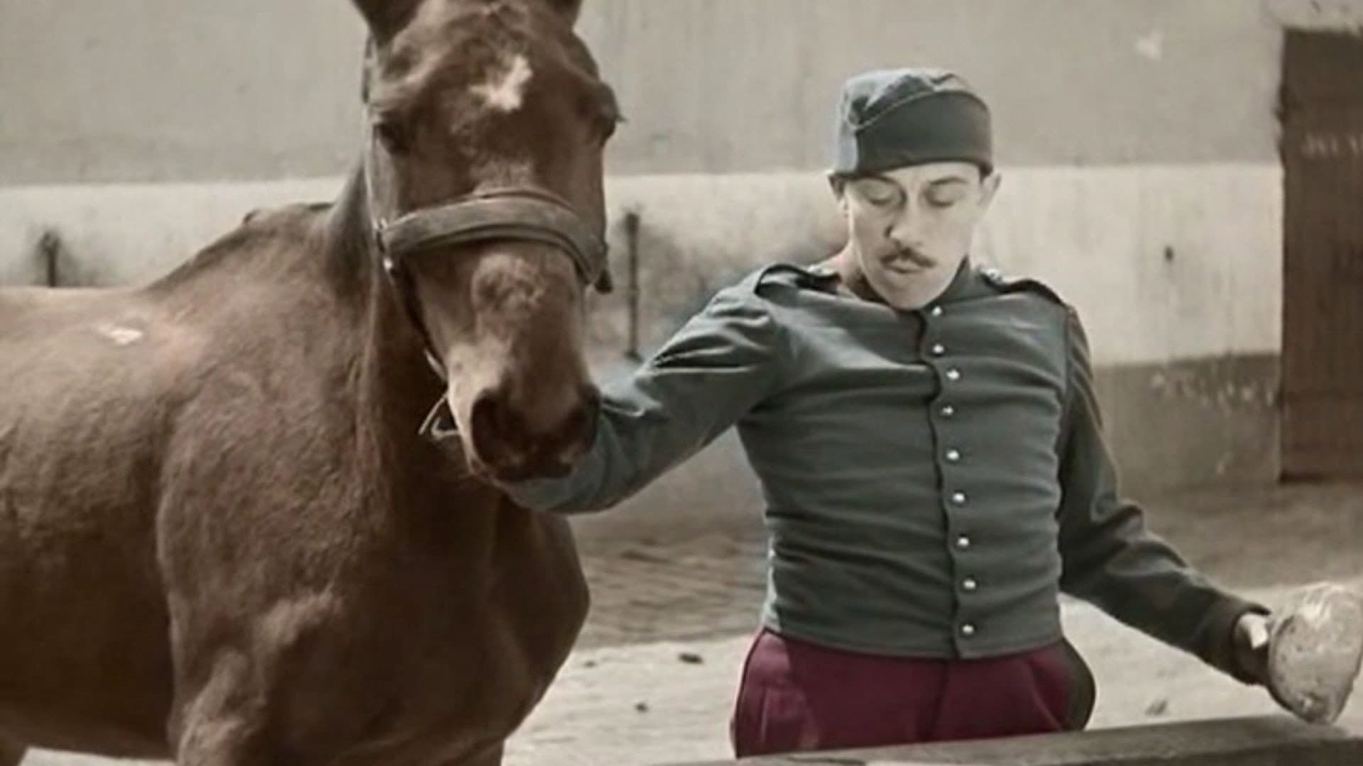 Albert Montigny