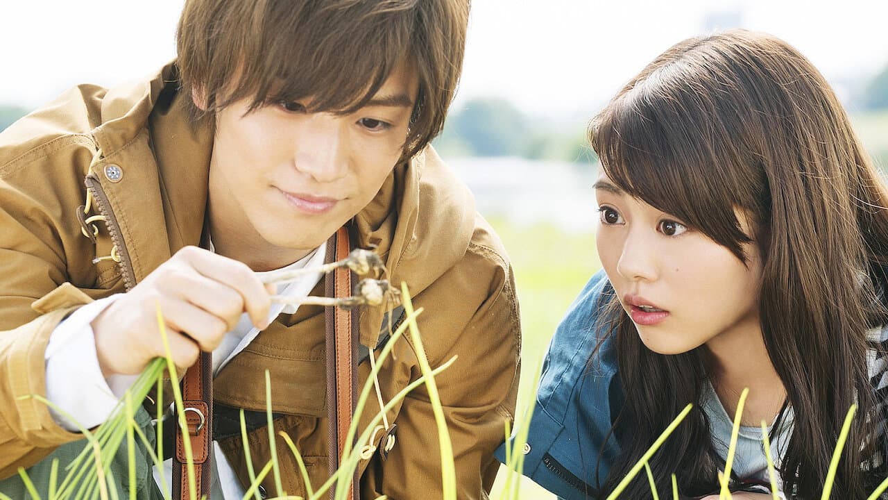 Erika Yazawa