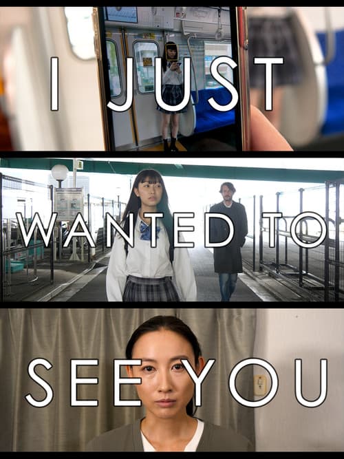 I Just Wanted to See You