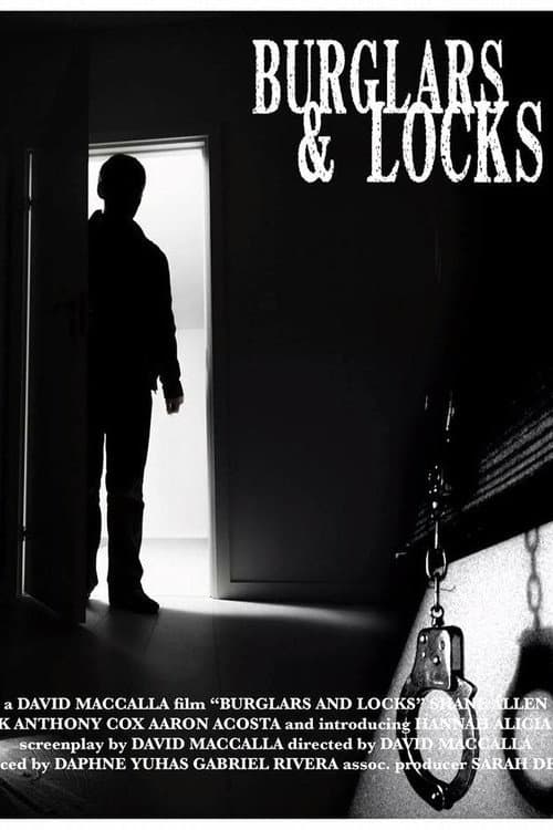 Burglars & Locks