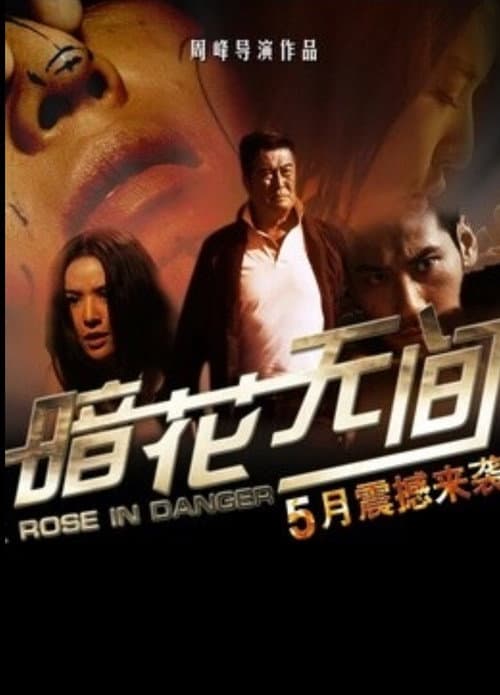 暗花无间
