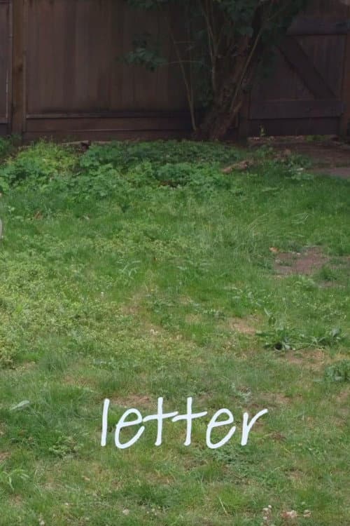 Letter