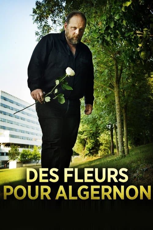 Flowers for Algernon