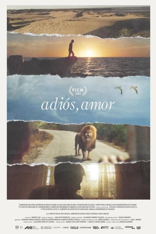 Goodbye, Love
