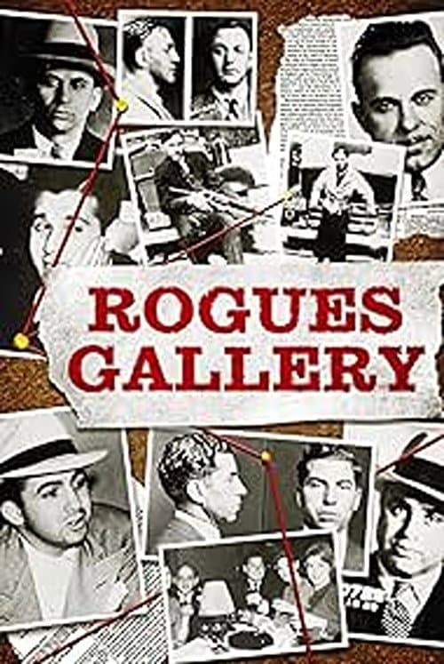 Rogues Gallery