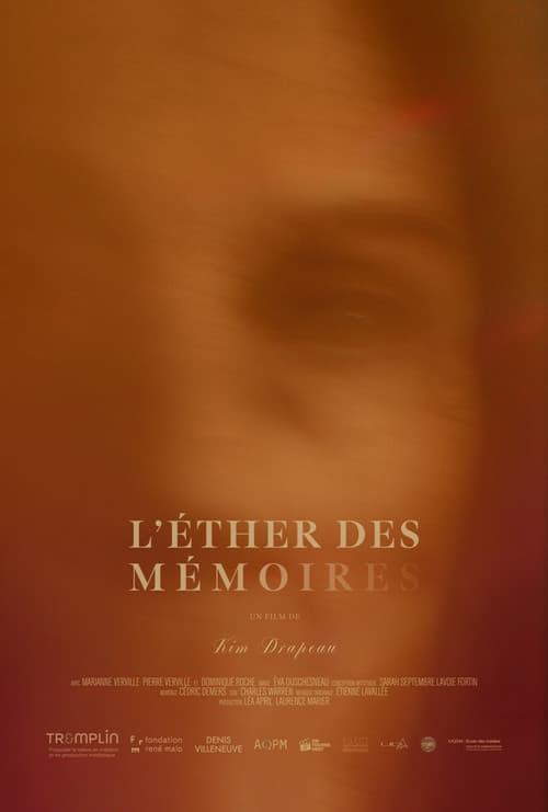 Echoes of Memories