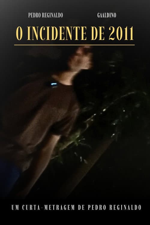 O INCIDENTE DE 2011