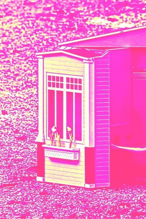 CARNE-FICCIÓN