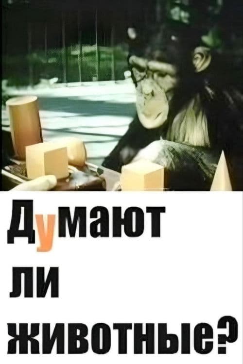 Do Animals Think?