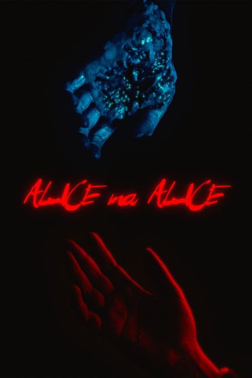 Alice, my Alice