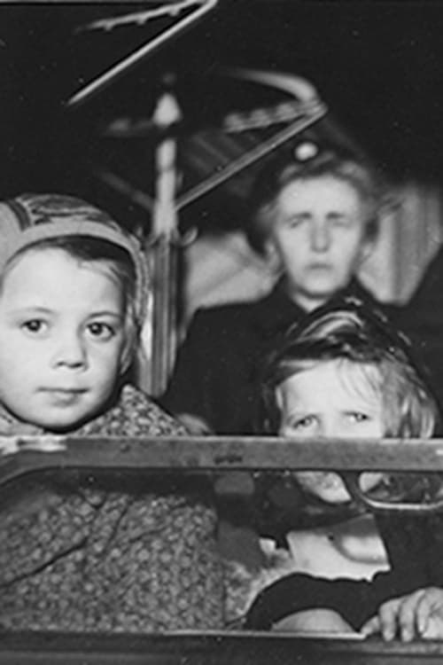 Report on the Refugee Situation