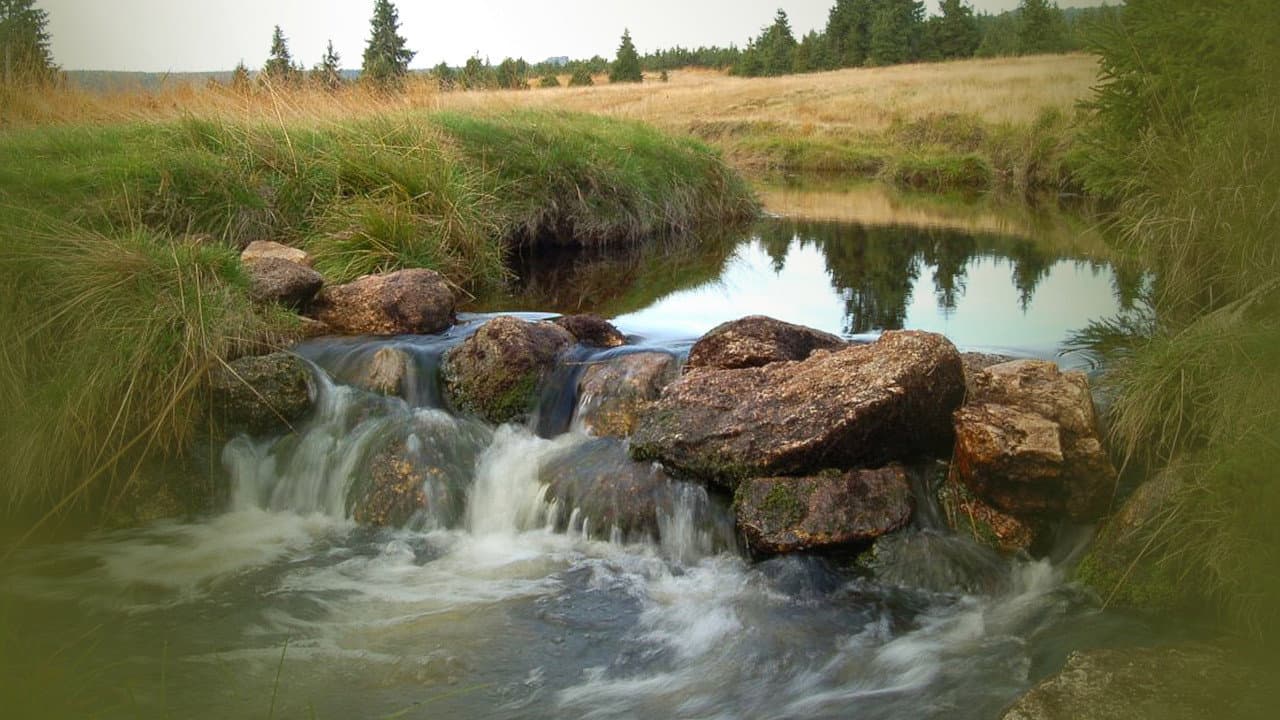 Tajný život skal