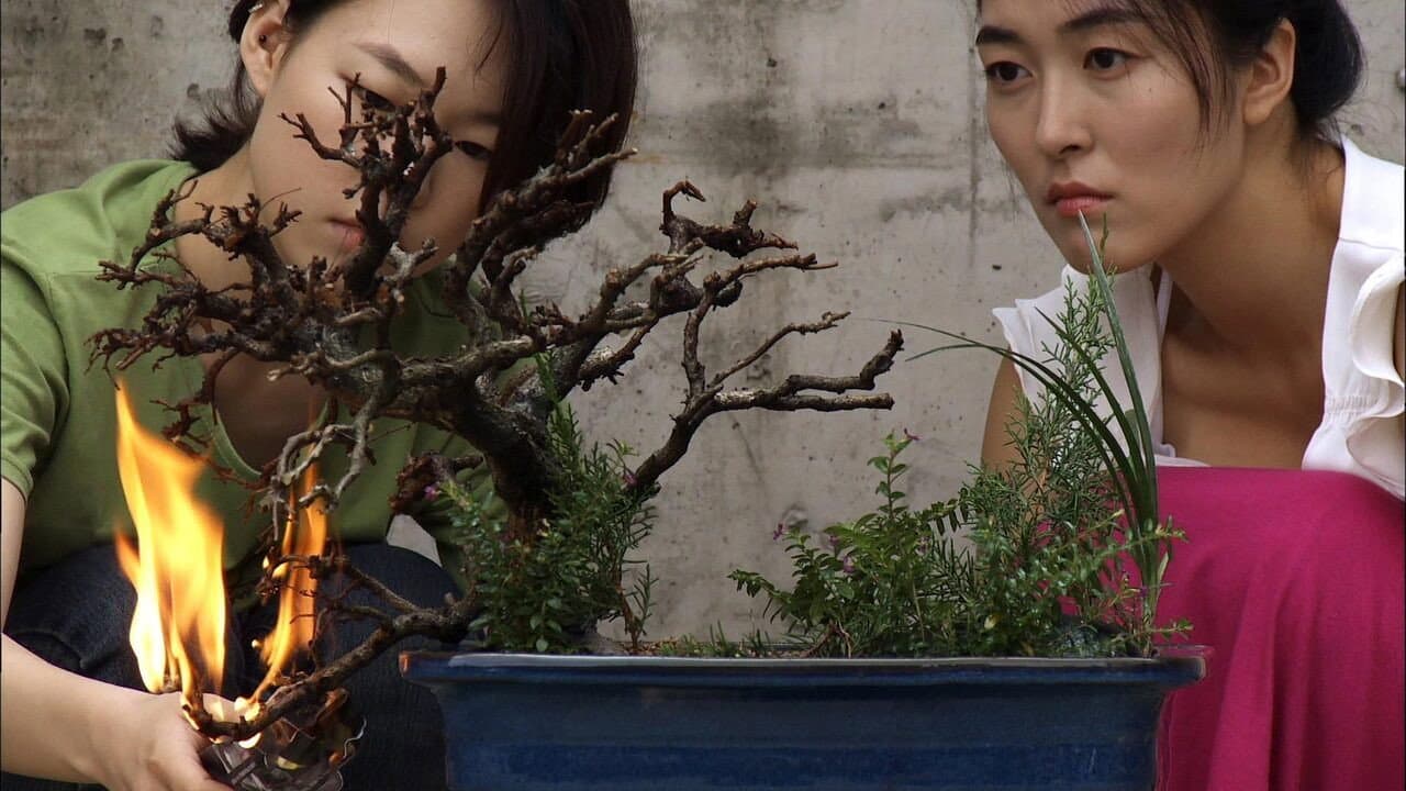 Min Young