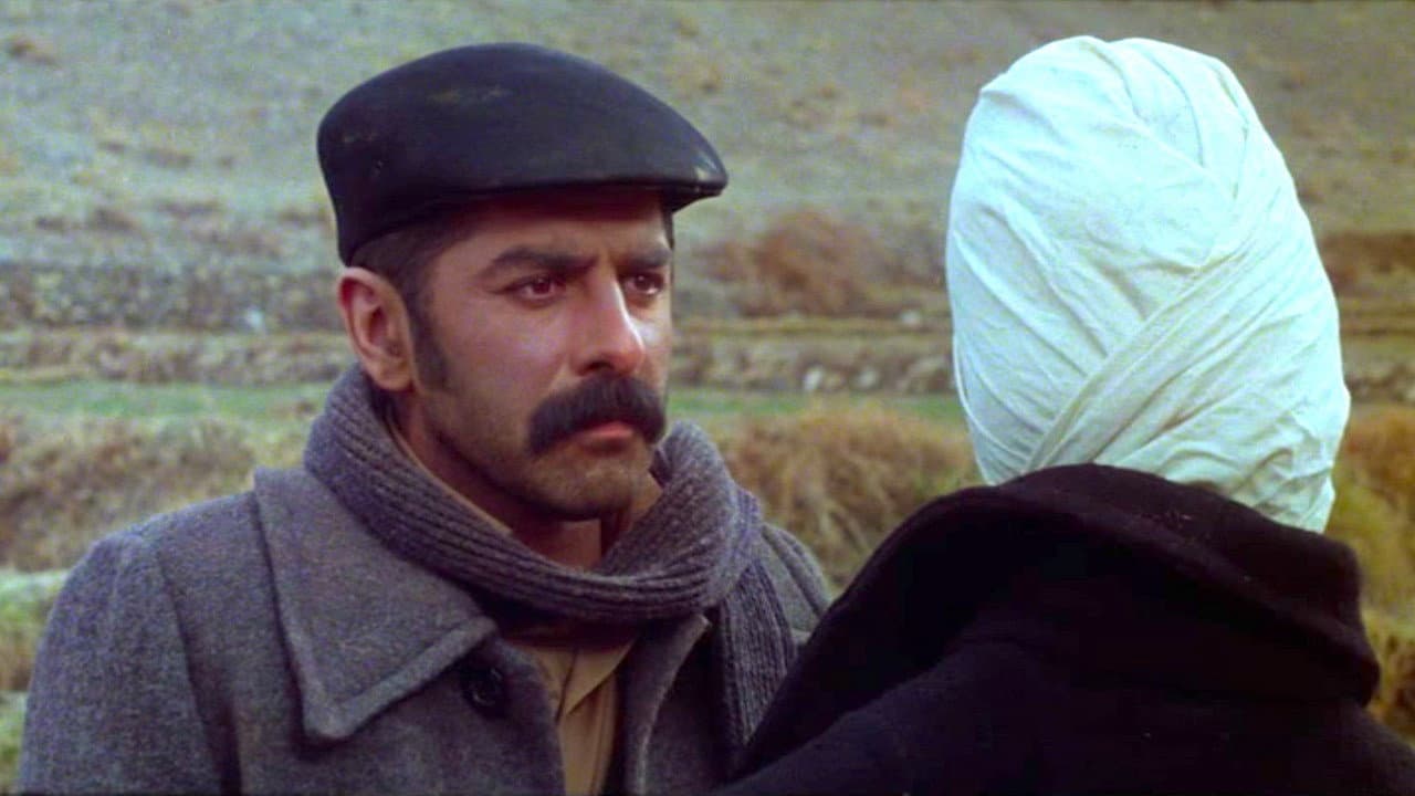 Saeed Nikpour