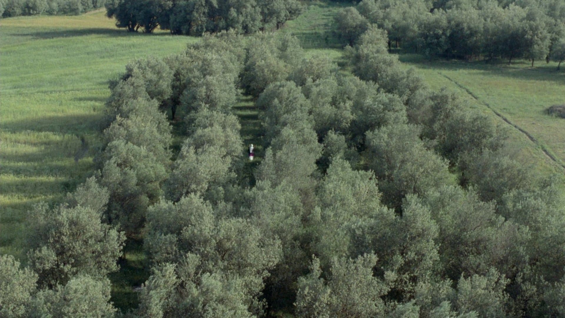 Mohammadali Keshavarz
