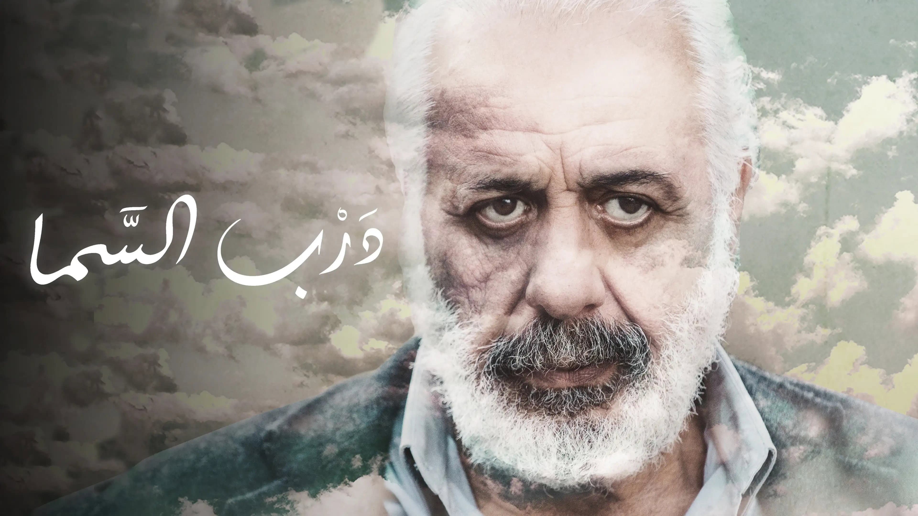 Safaa Sultan