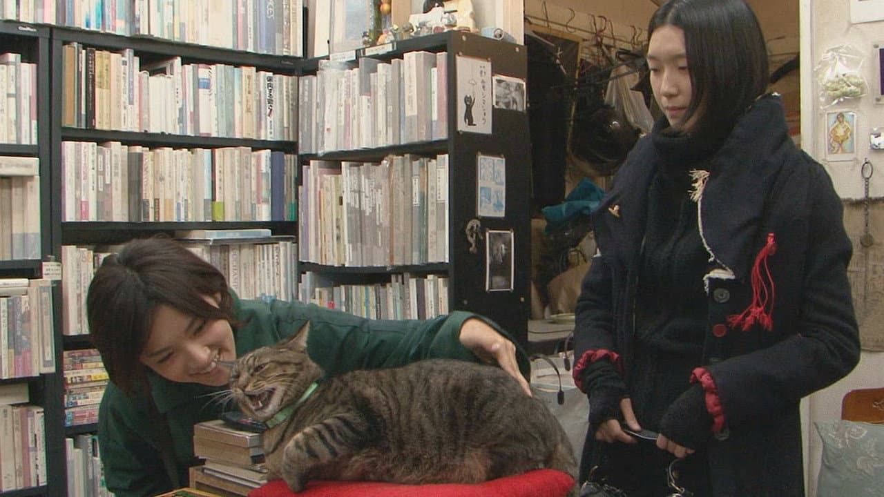 Miyoko Aso