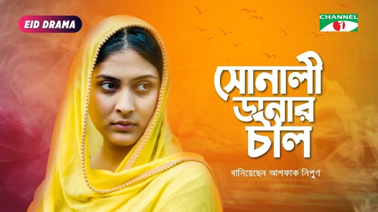 Saberi Alam