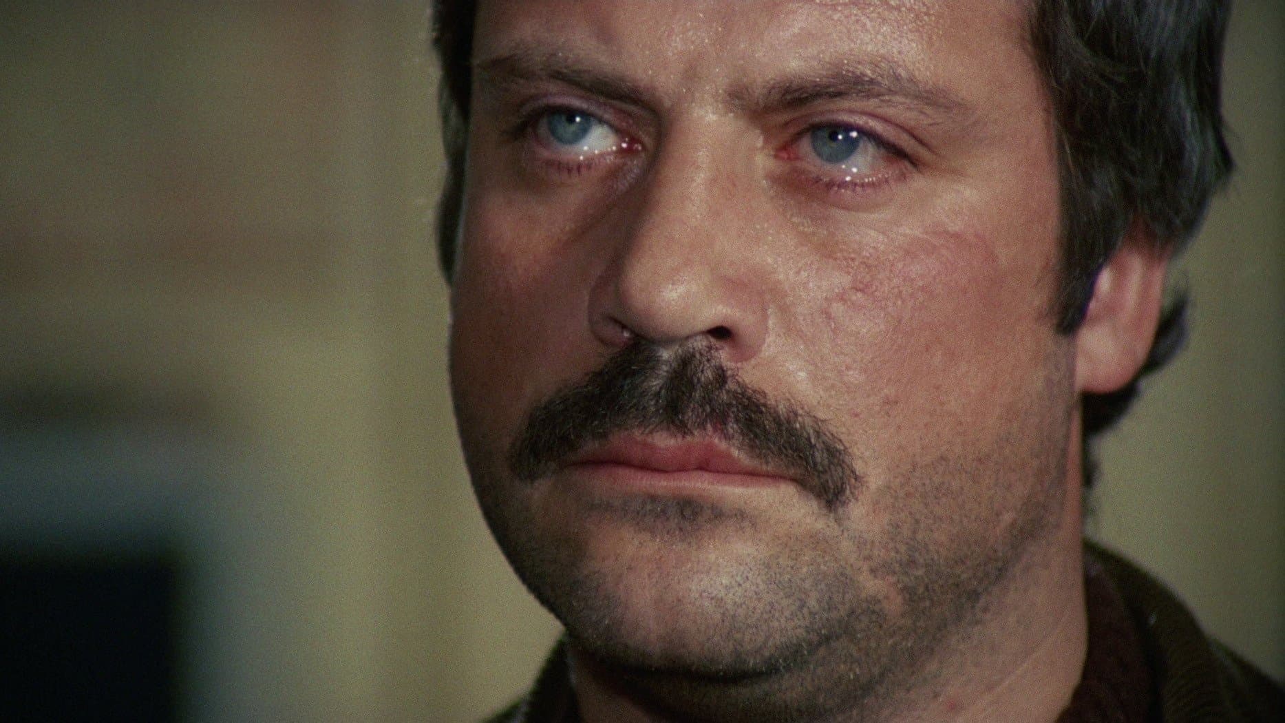 Michel Bardinet