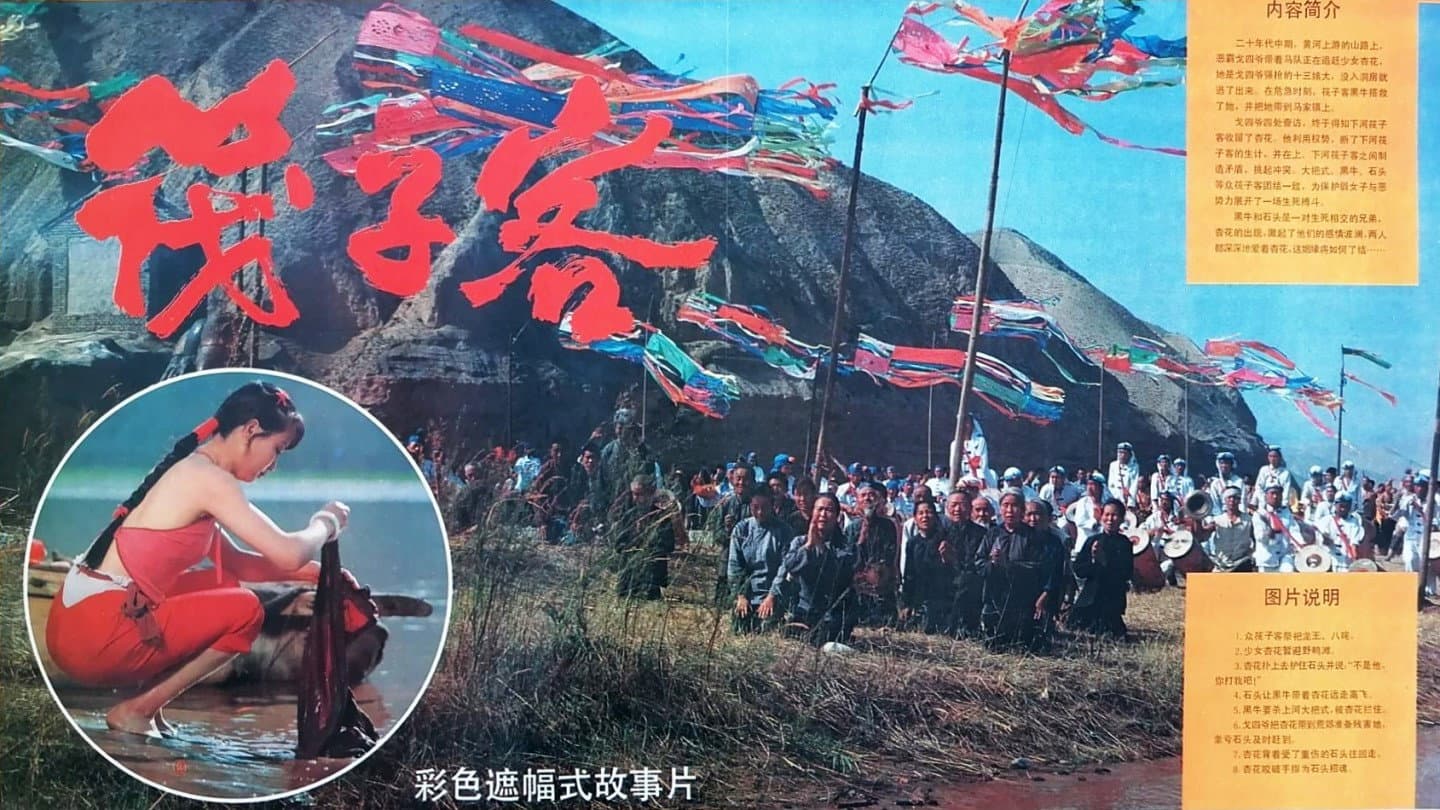 Jin Xin