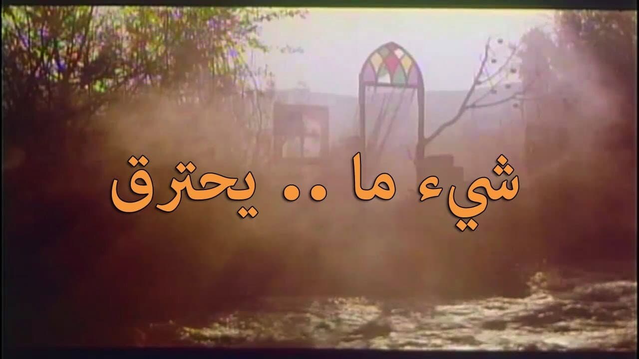 Ali Kareem