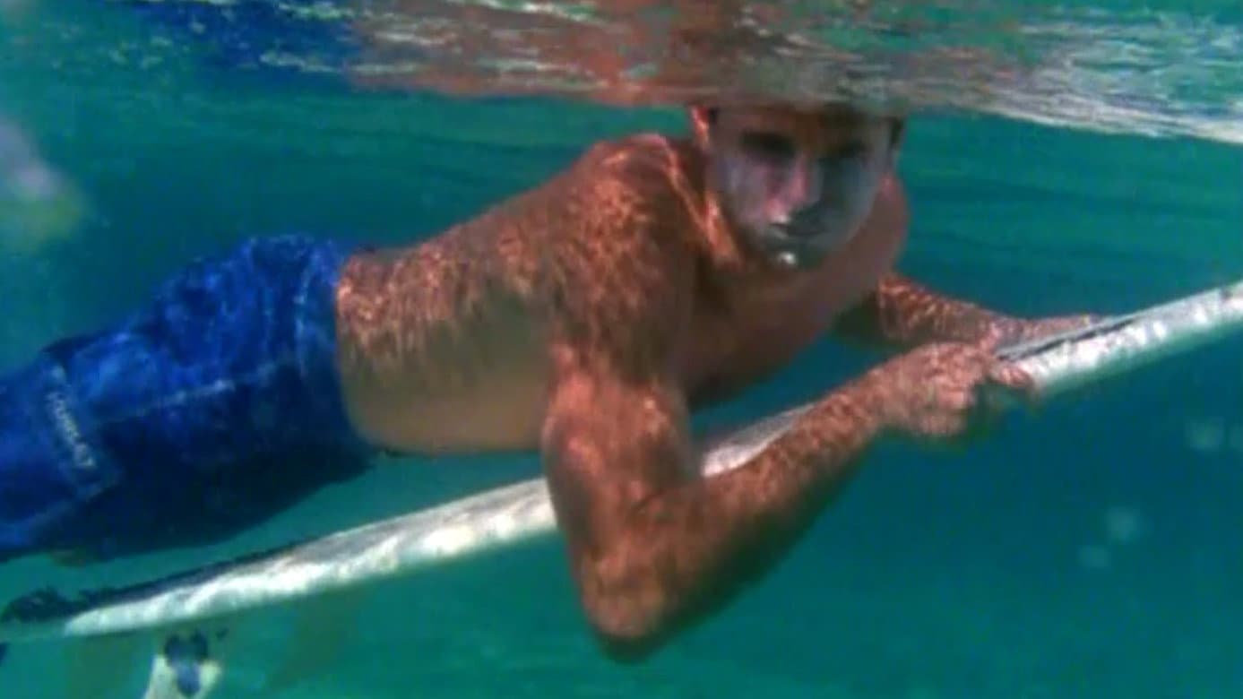 Taylor Knox