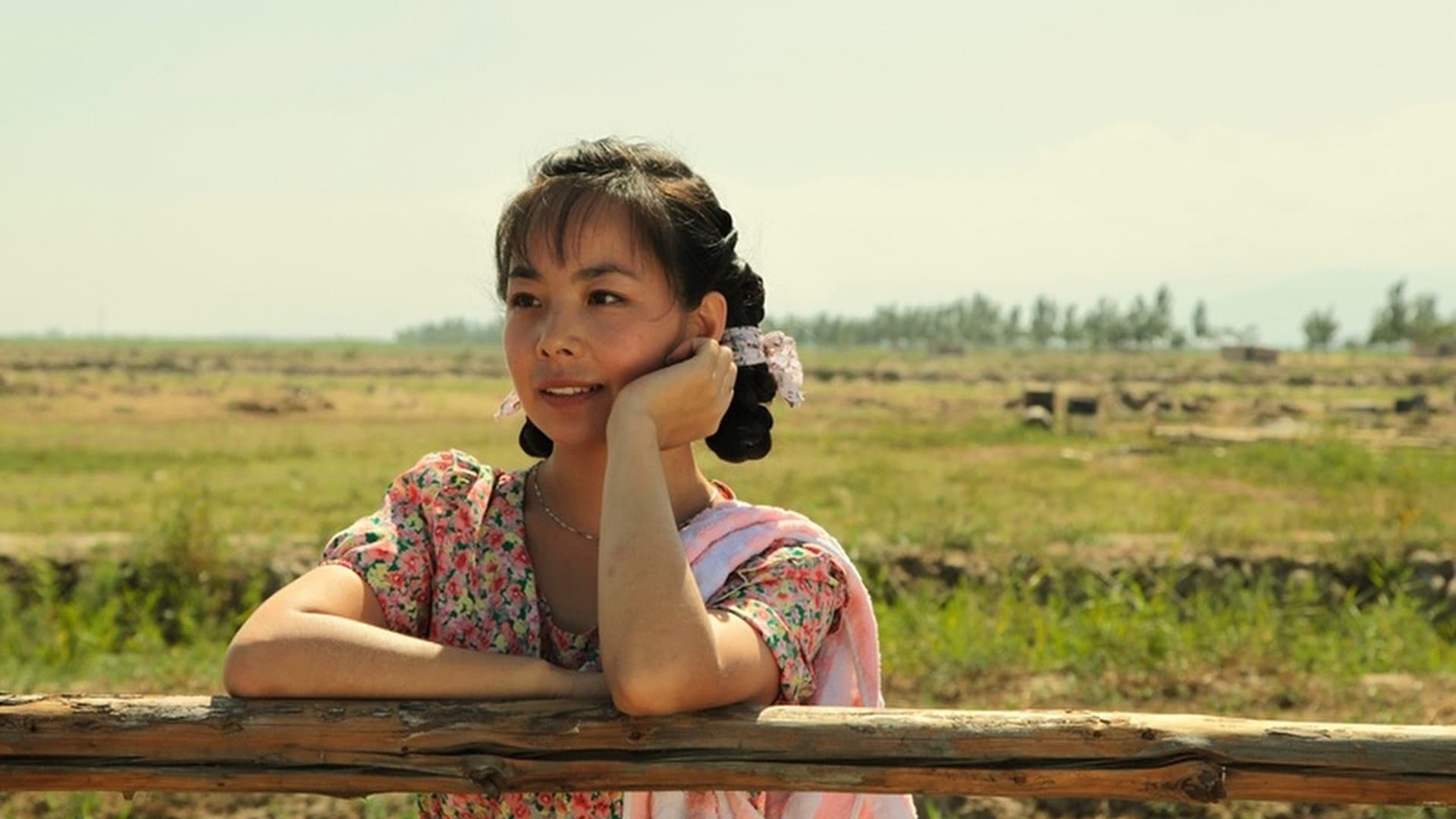 Wang Dazhi