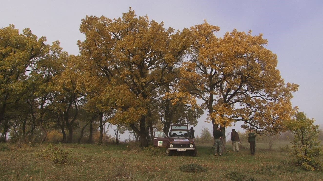 Přežili rok 2000